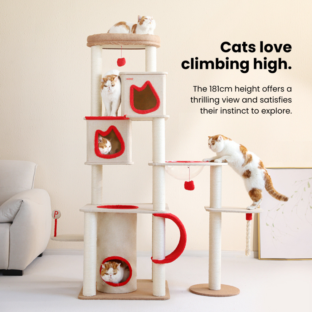 Majestic Cat Tree