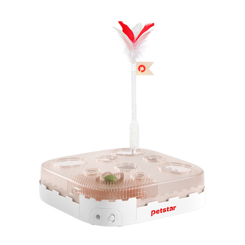 Smart Castle Toy