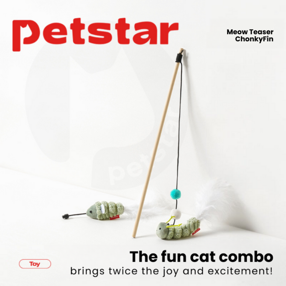 Meow Teaser ChonkyFin