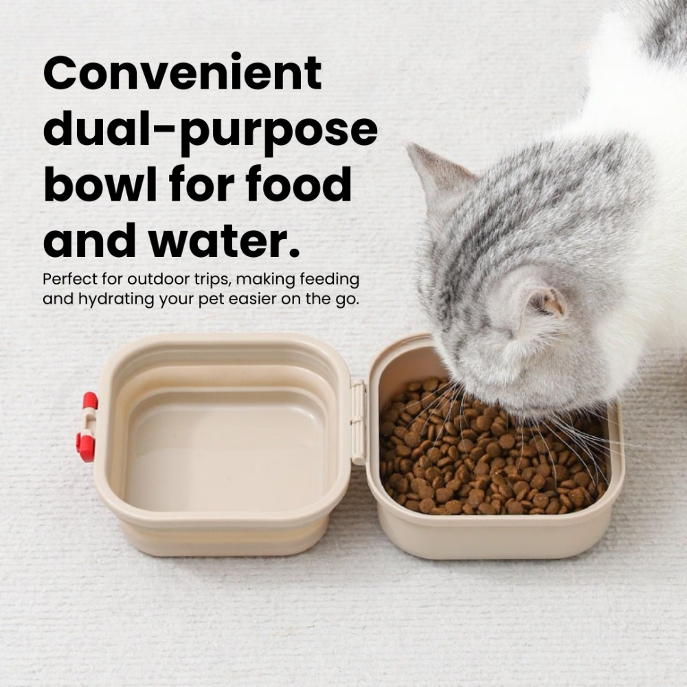 PawGo Foldable Bowl