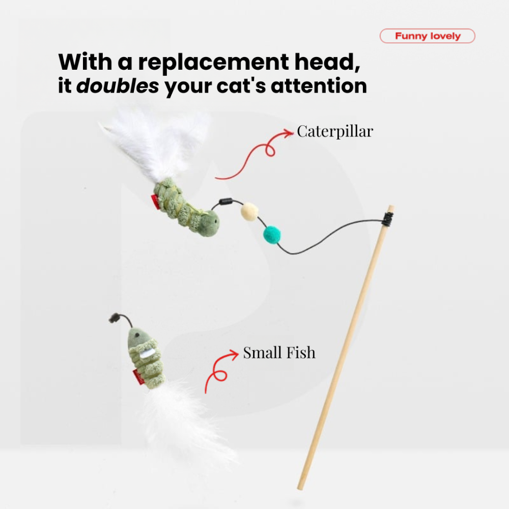 Meow Teaser ChonkyFin
