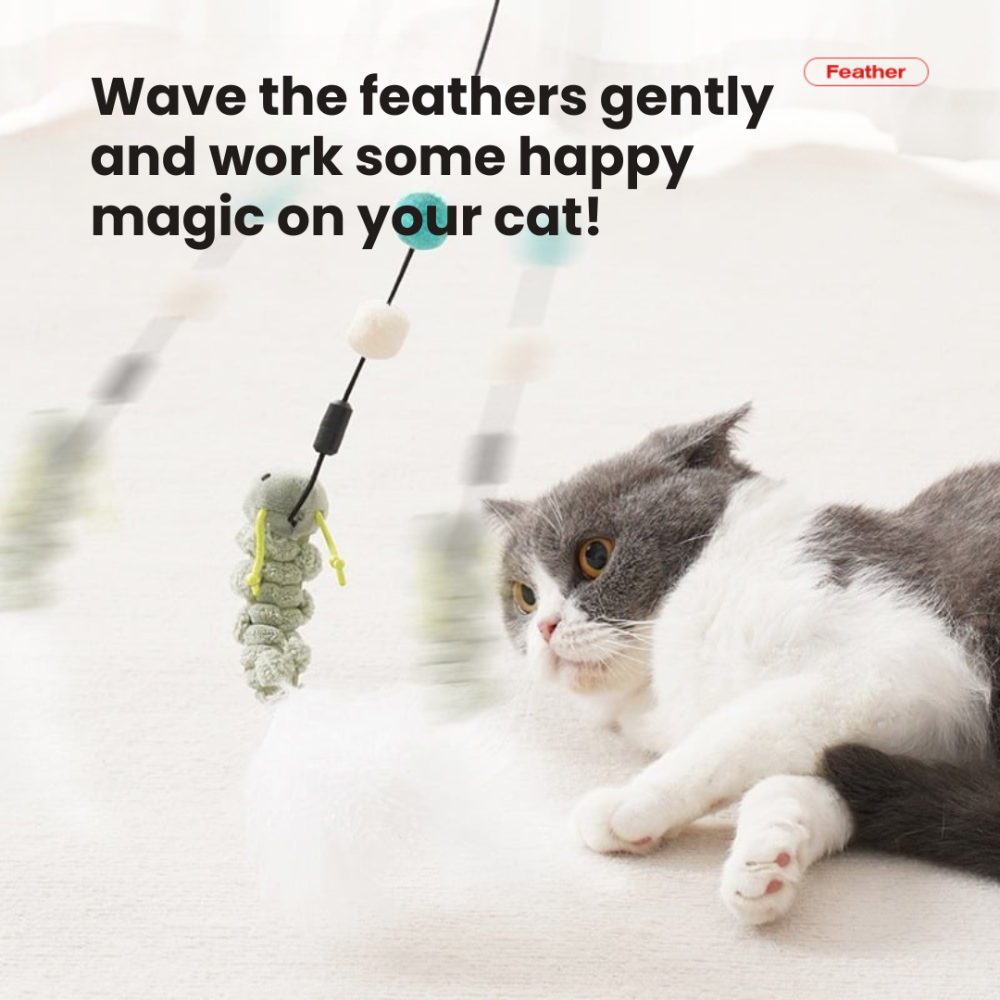 Meow Teaser ChonkyFin