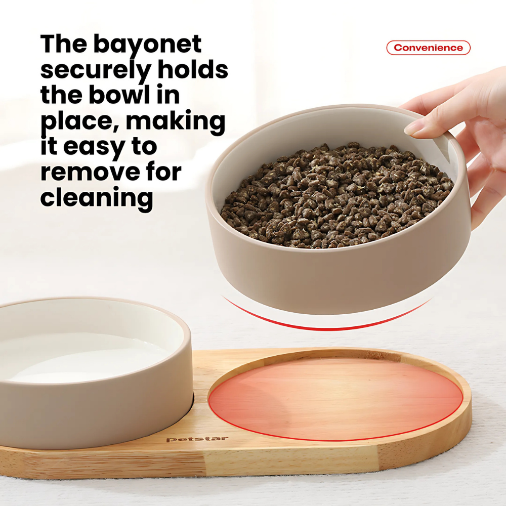 Ceramic Duo Bowl Set