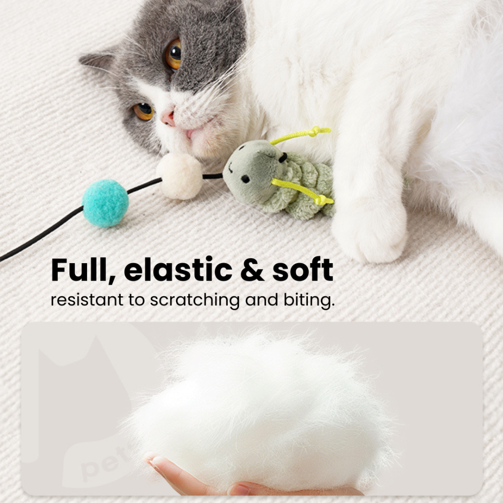 Meow Teaser ChonkyFin