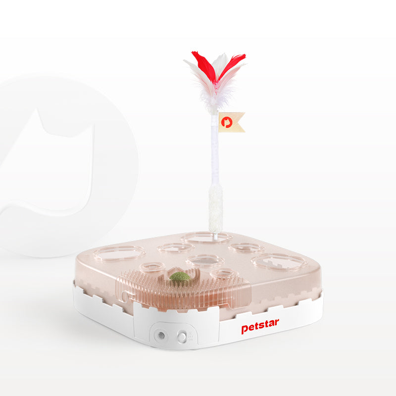 Smart Castle Toy