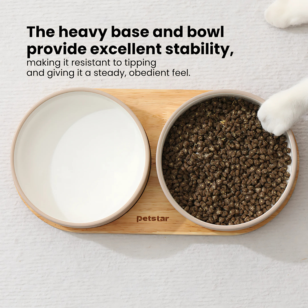 Ceramic Duo Bowl Set