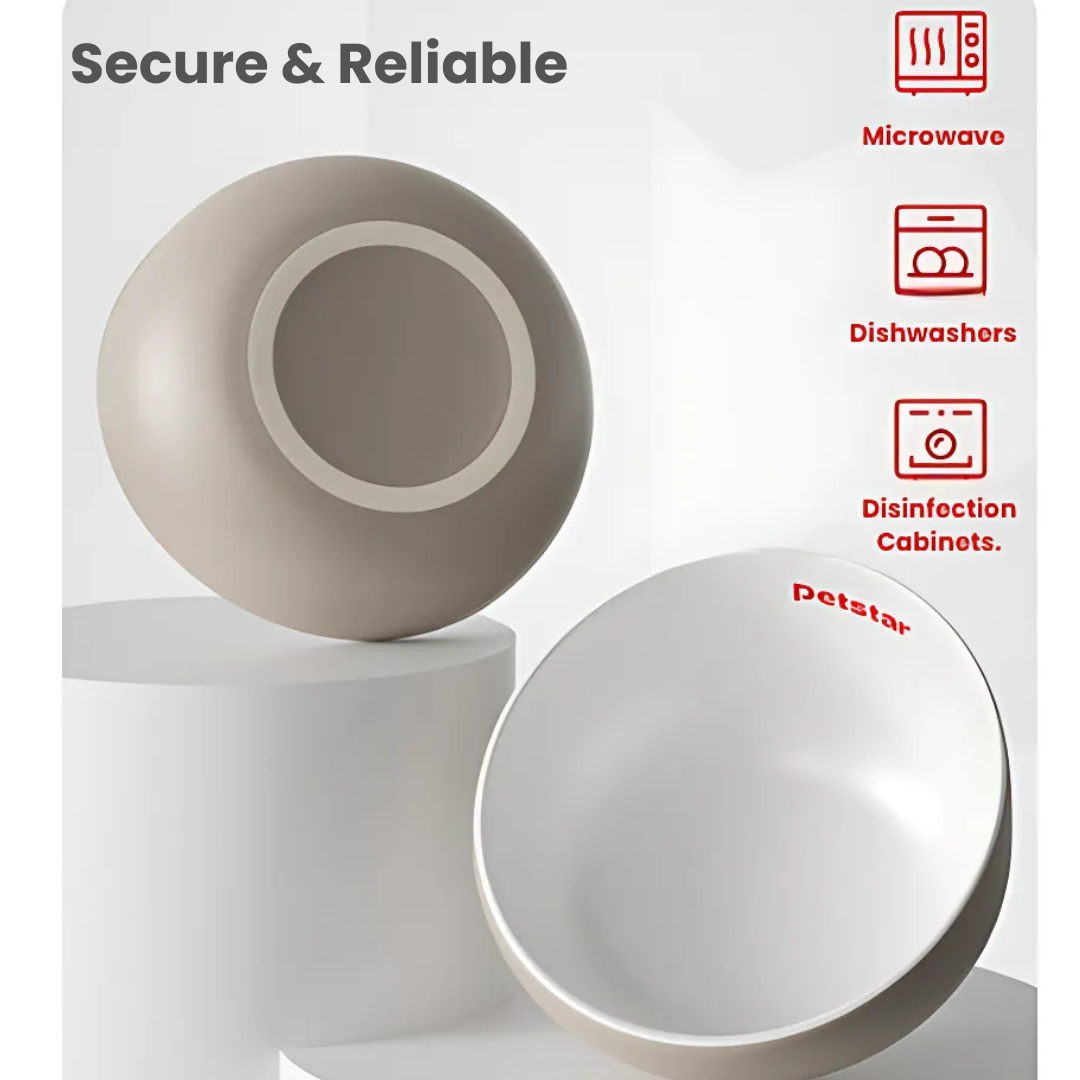 Ceramic Bowl