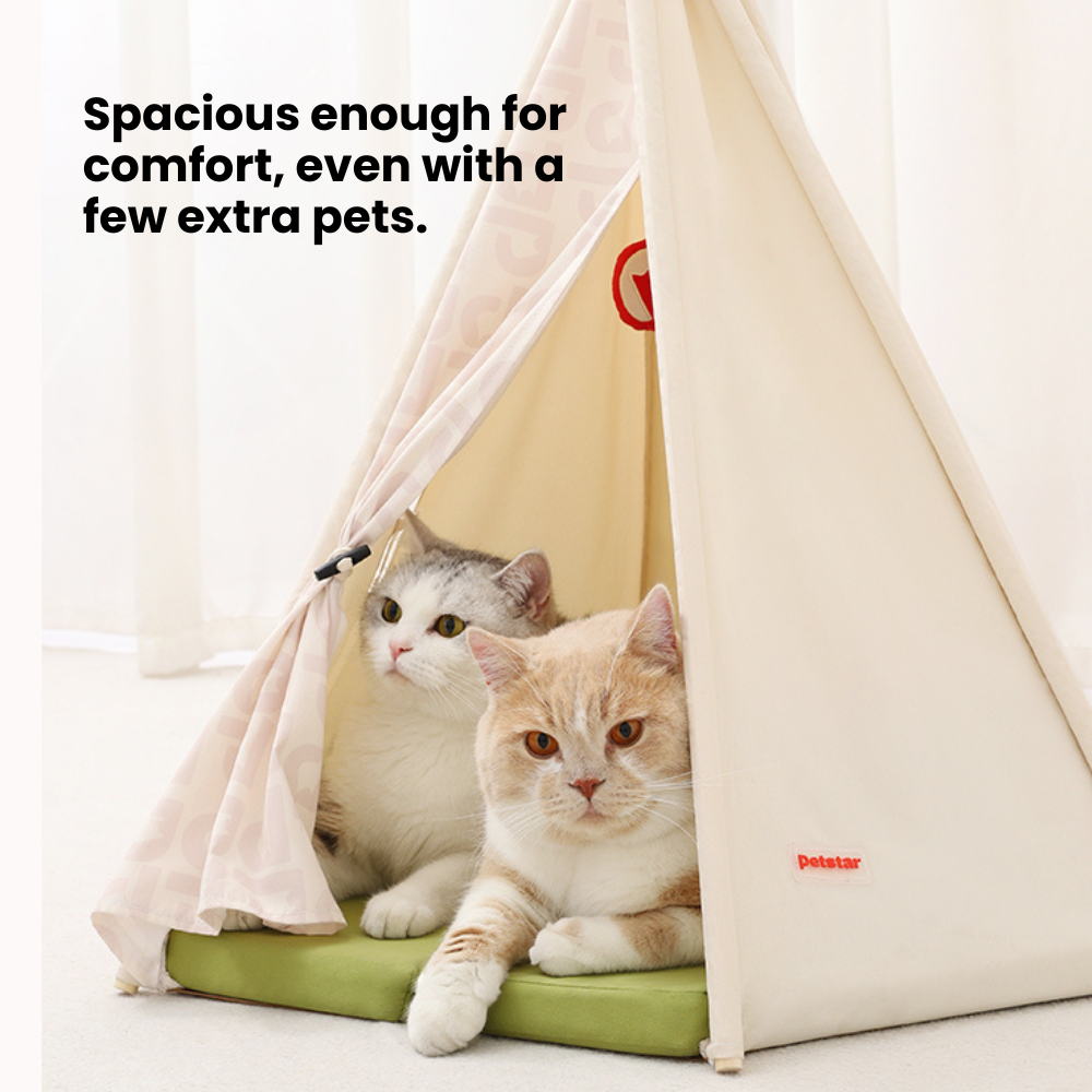 Cozy Teepee