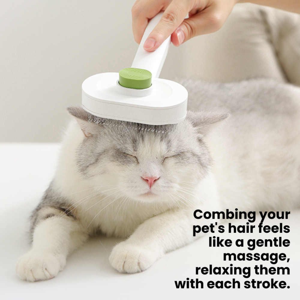 AirFlow Groomer