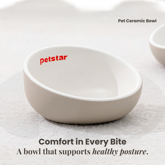 Ceramic Bowl