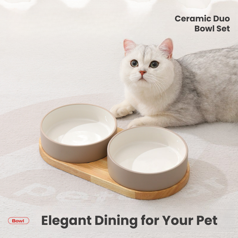 Ceramic Duo Bowl Set