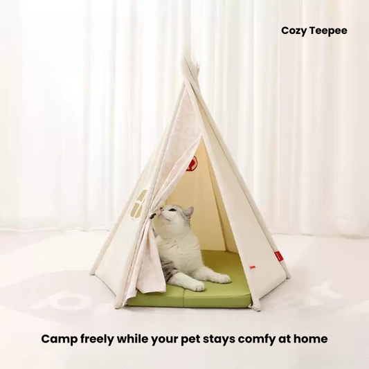 Cozy Teepee