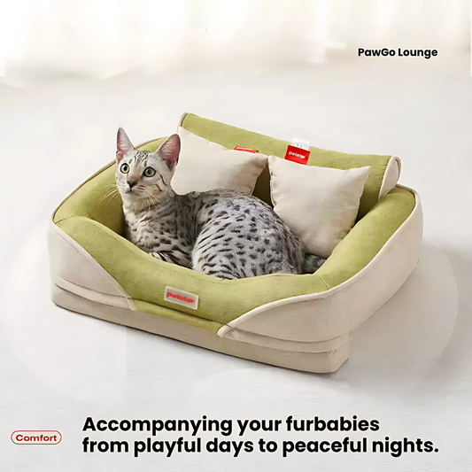 PawGo Lounge M size