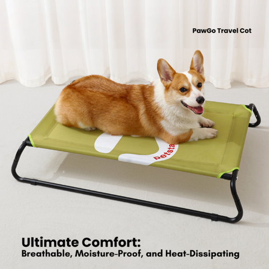 PawGo Travel Cot
