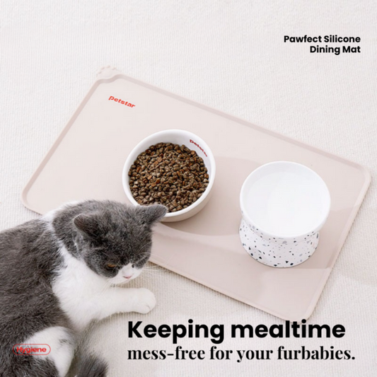 Pawfect Silicon Dining Mat