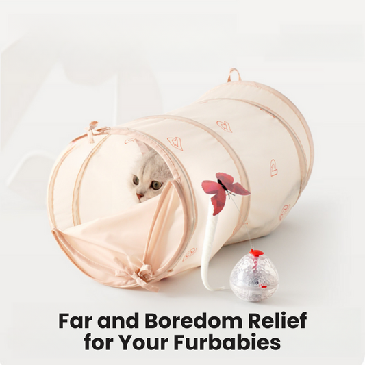 PurrPlay Tunnel + Roly-Poly