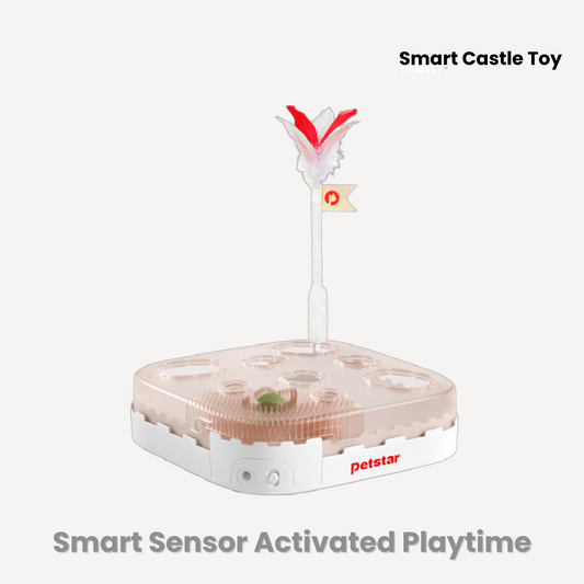 Smart Castle Toy
