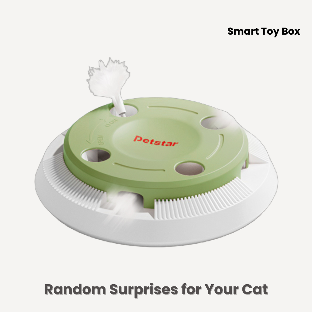 Smart Toy Box