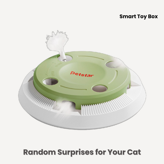 Smart Toy Box