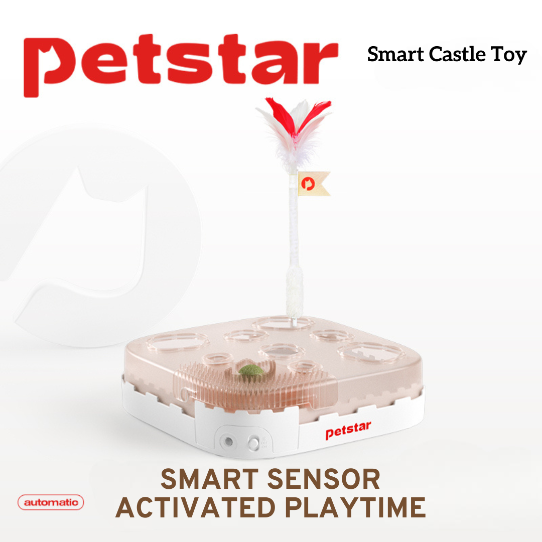 Smart Castle Toy